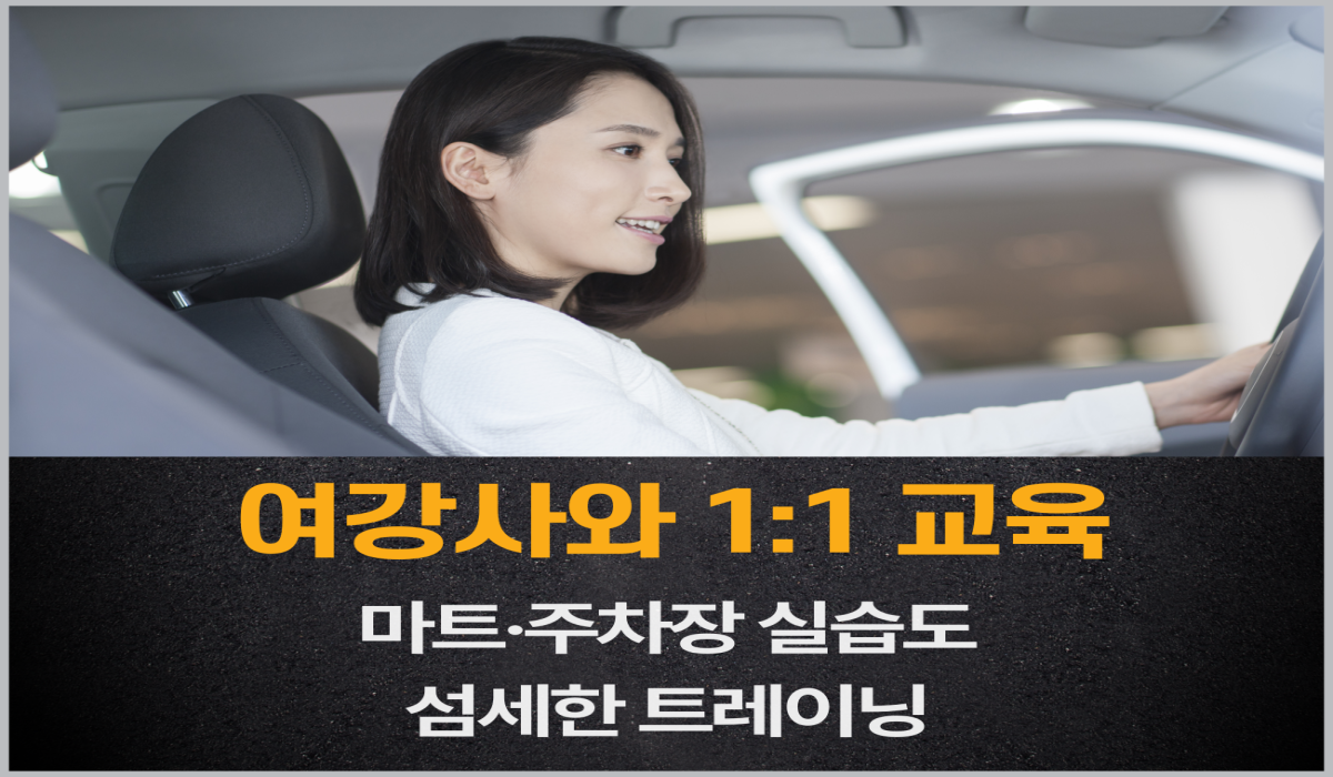 실전 도로 집중연수